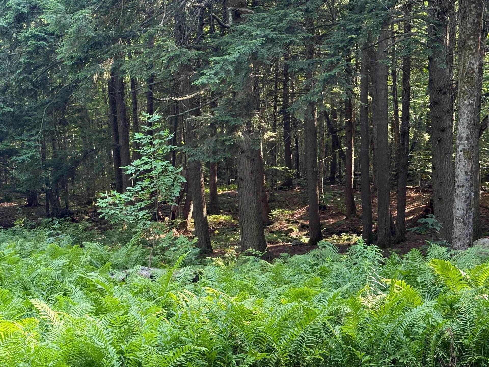 33 Aspen Lane Winhall VT 05340