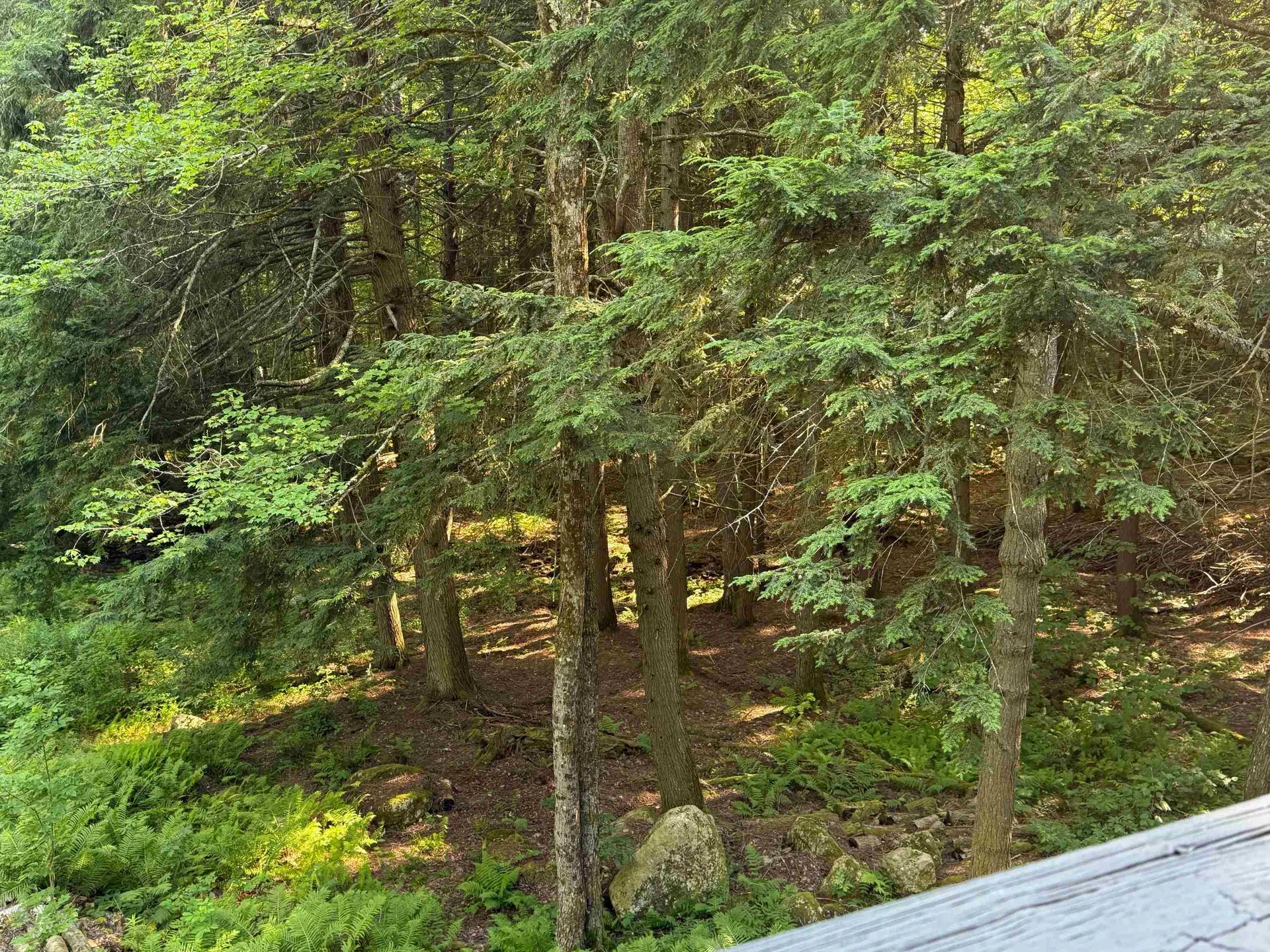 33 Aspen Lane Winhall VT 05340