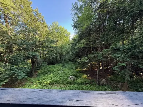 33 Aspen Lane Winhall VT 05340