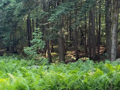 33 Aspen Lane Winhall VT 05340