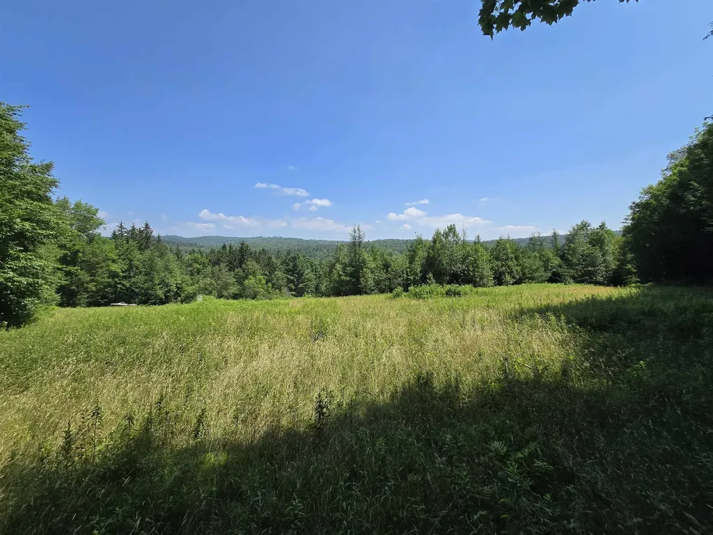 3394 Vt Route 155 Mount Holly VT 05758