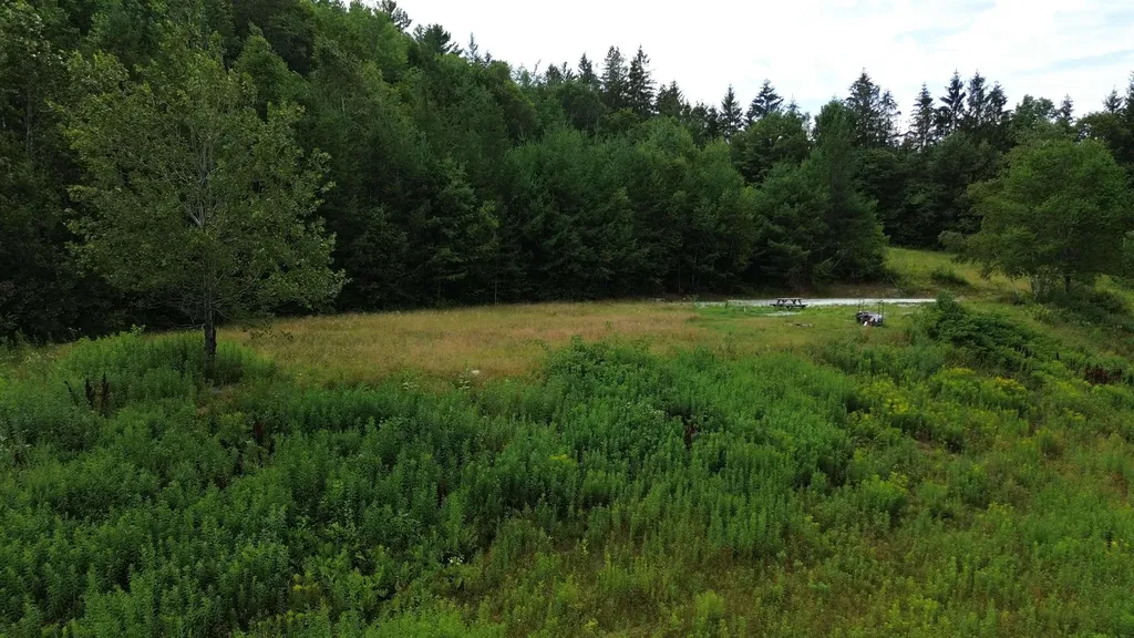 3394 Vt Route 155 Mount Holly VT 05758