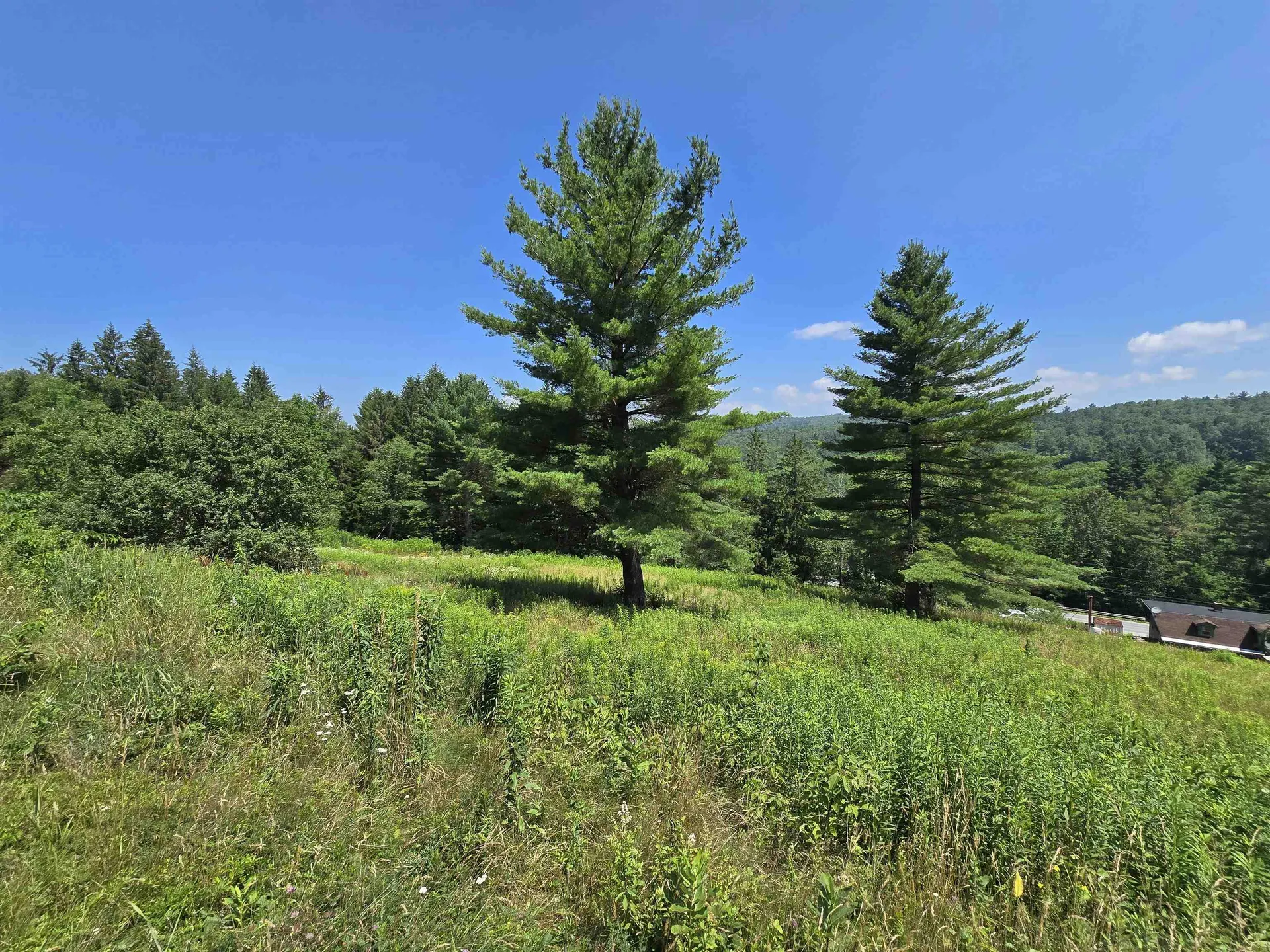 3394 Vt Route 155 Mount Holly VT 05758