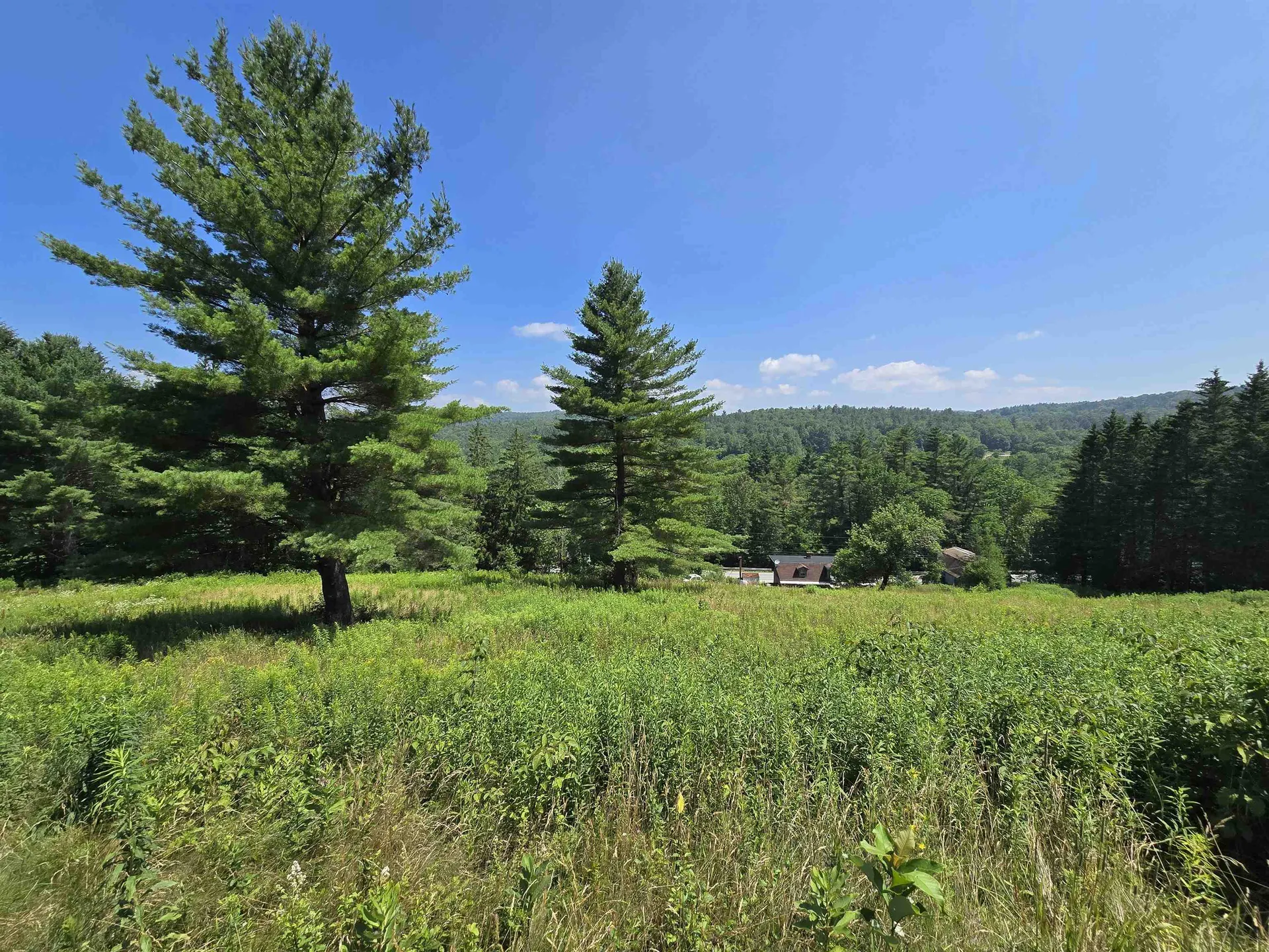 3394 Vt Route 155 Mount Holly VT 05758