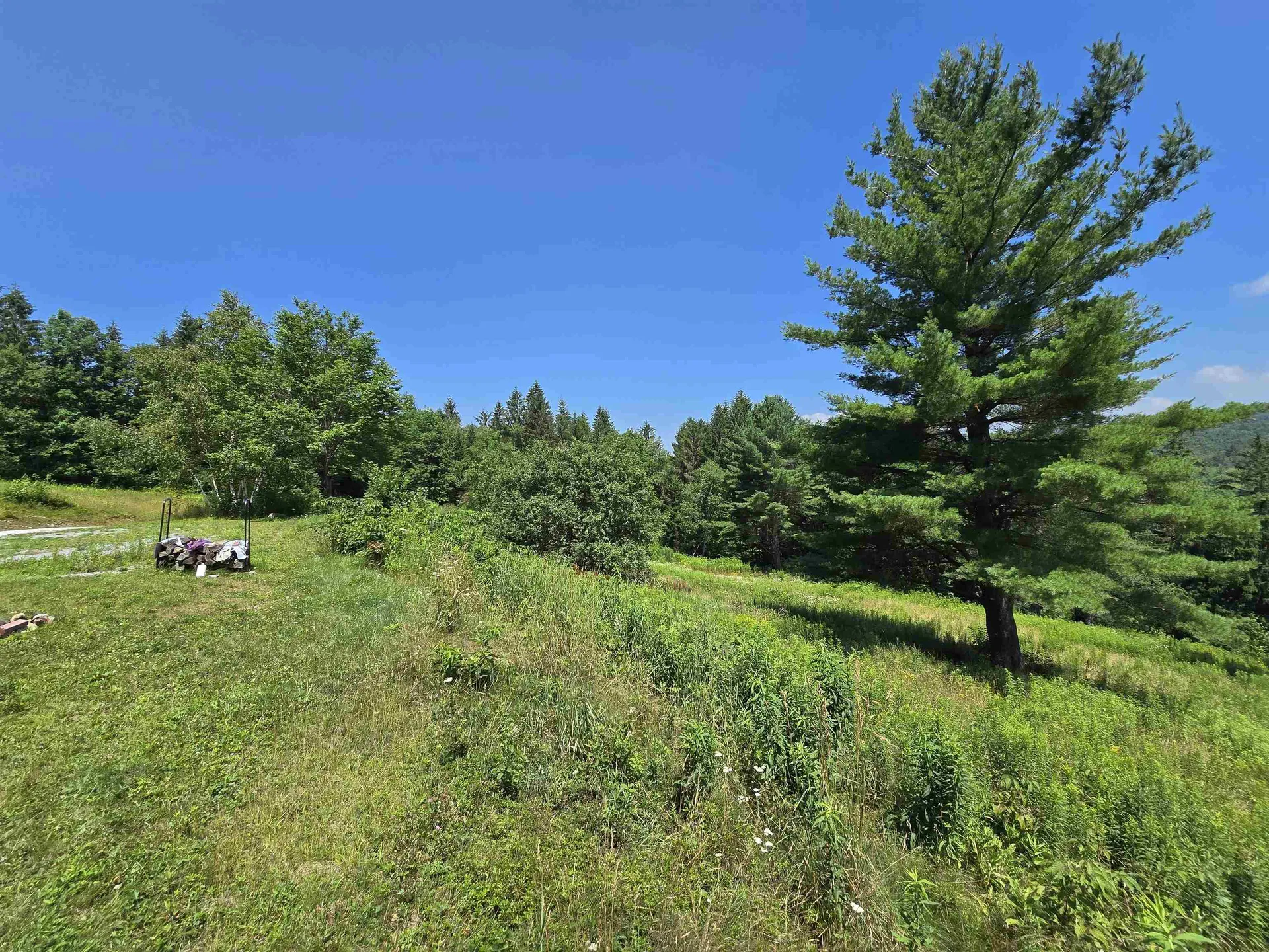 3394 Vt Route 155 Mount Holly VT 05758