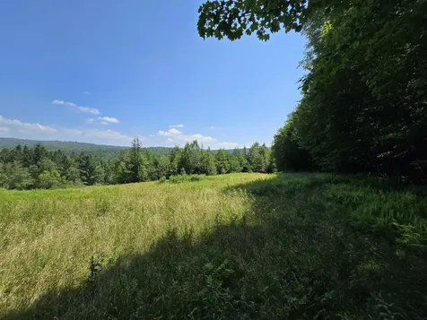 3394 Vt Route 155 Mount Holly VT 05758