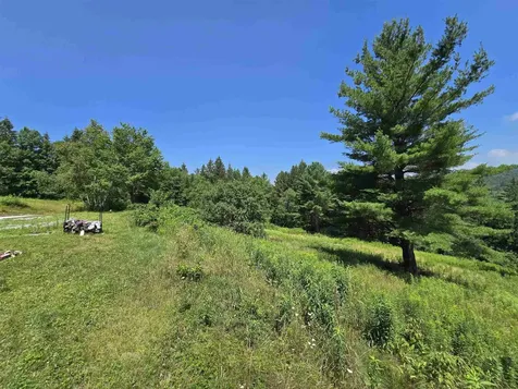 3394 Vt Route 155 Mount Holly VT 05758