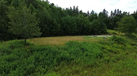 3394 Vt Route 155 Mount Holly VT 05758