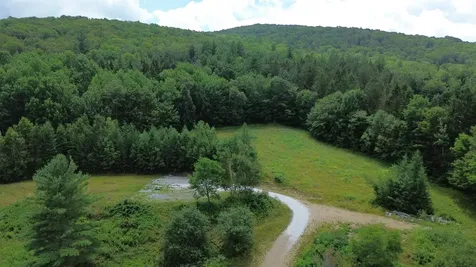 3394 Vt Route 155 Mount Holly VT 05758