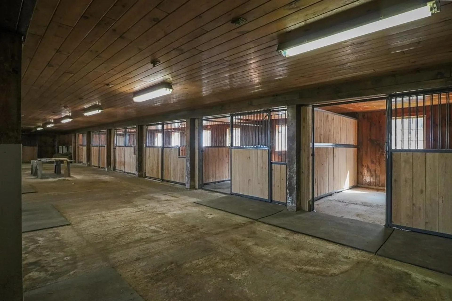 849 Mount Bess Road Charleston VT 05872