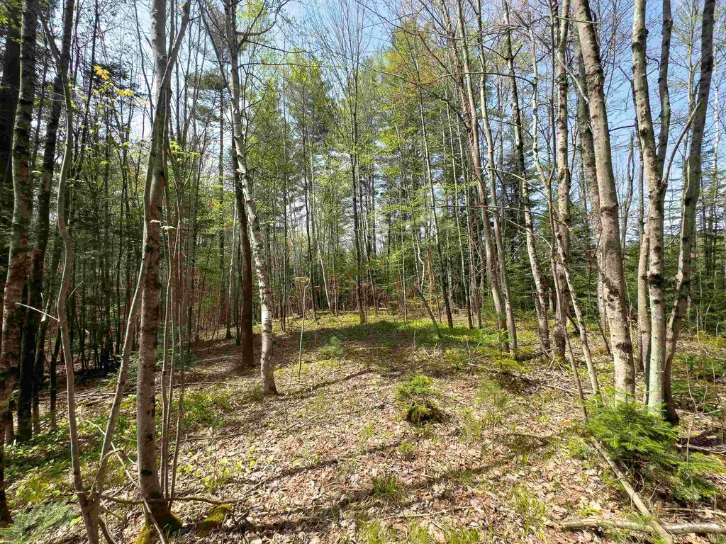 538 Oregon Road Concord VT 05824