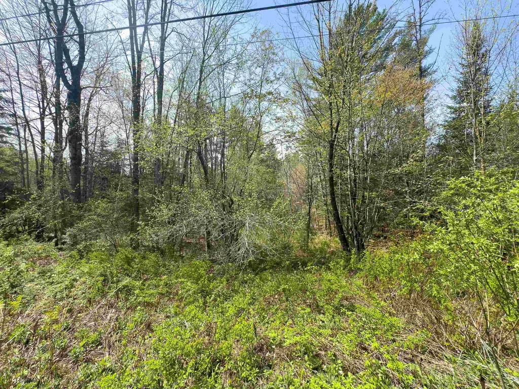 538 Oregon Road Concord VT 05824