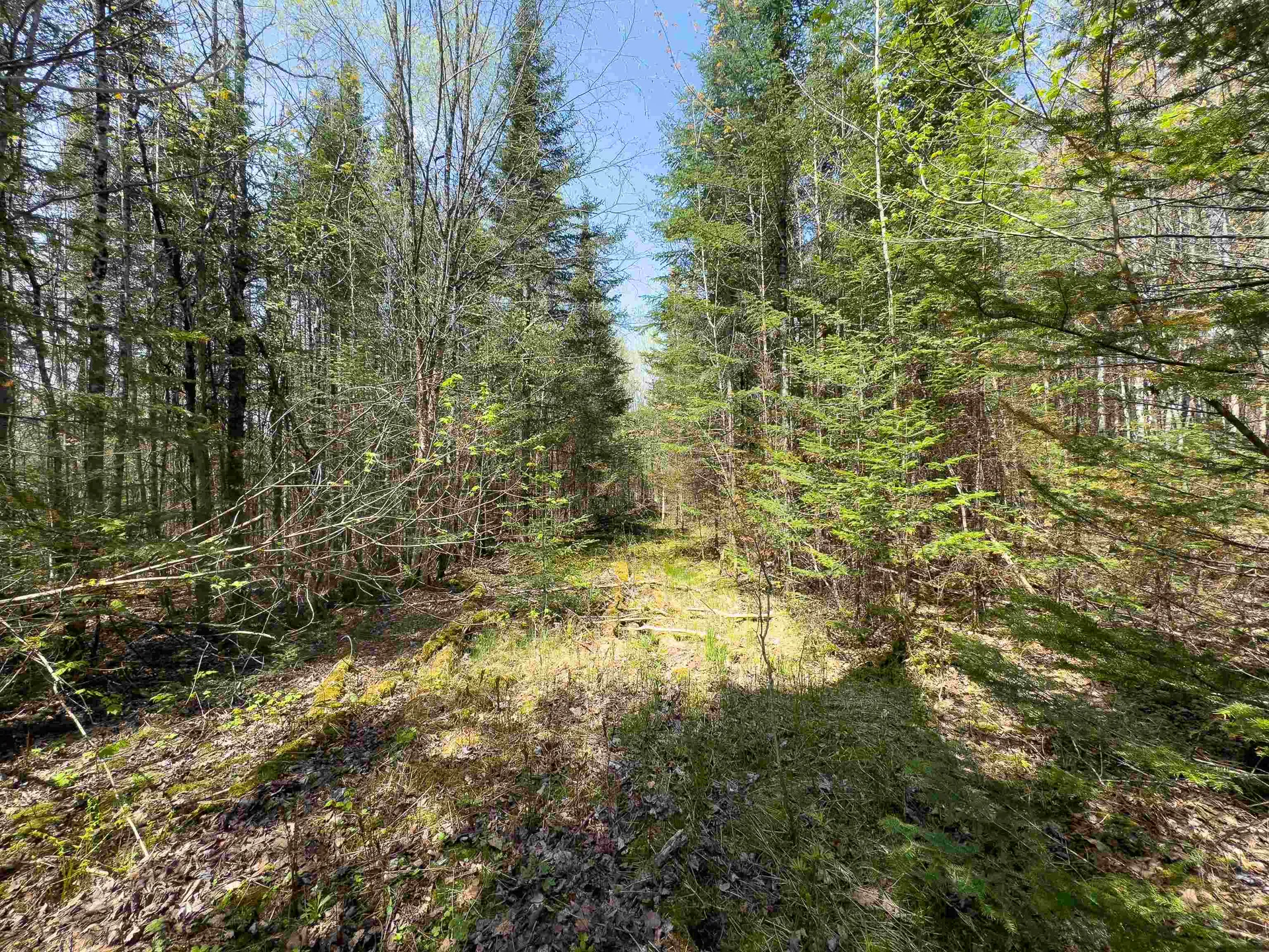 538 Oregon Road Concord VT 05824