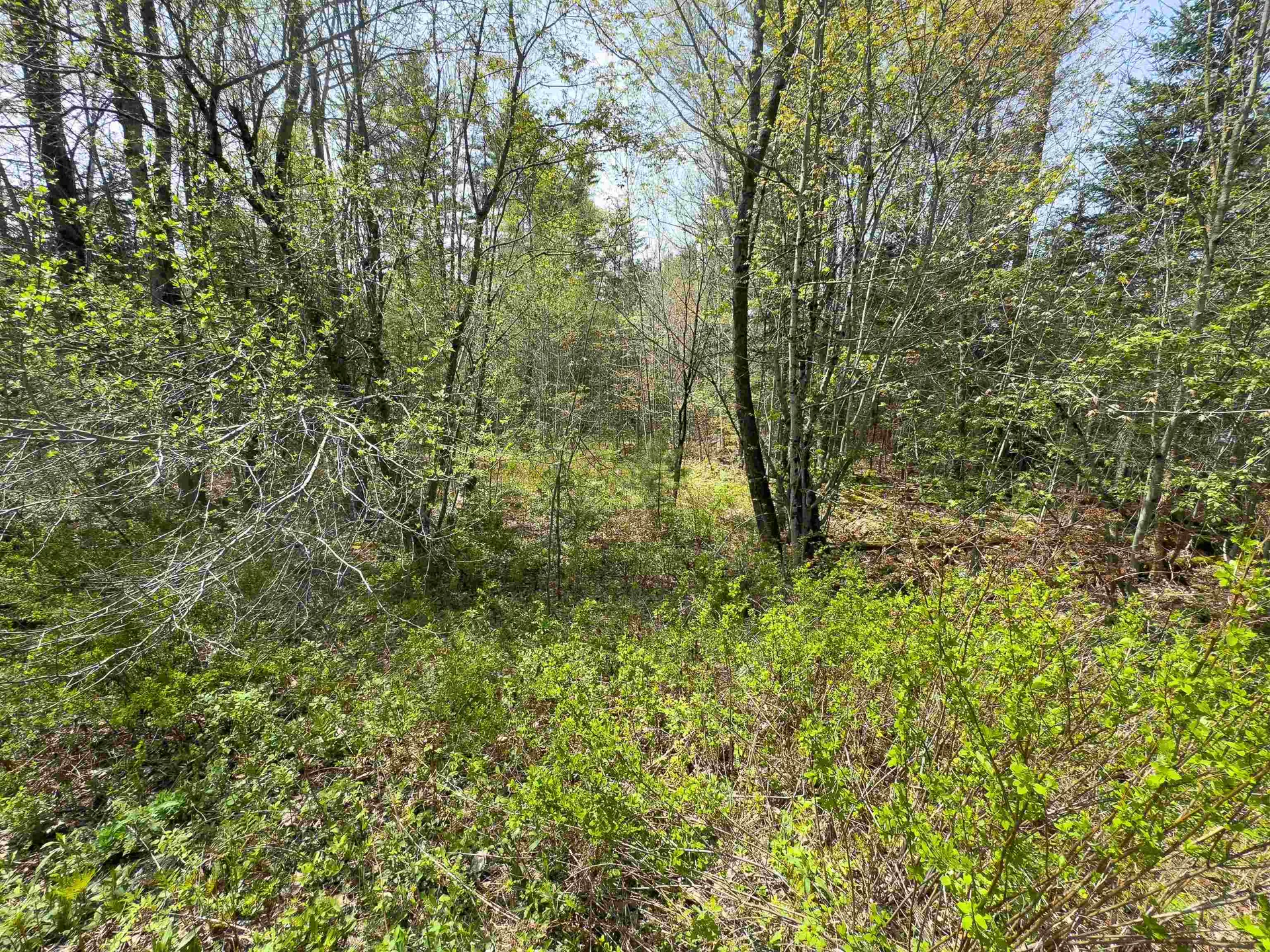 538 Oregon Road Concord VT 05824