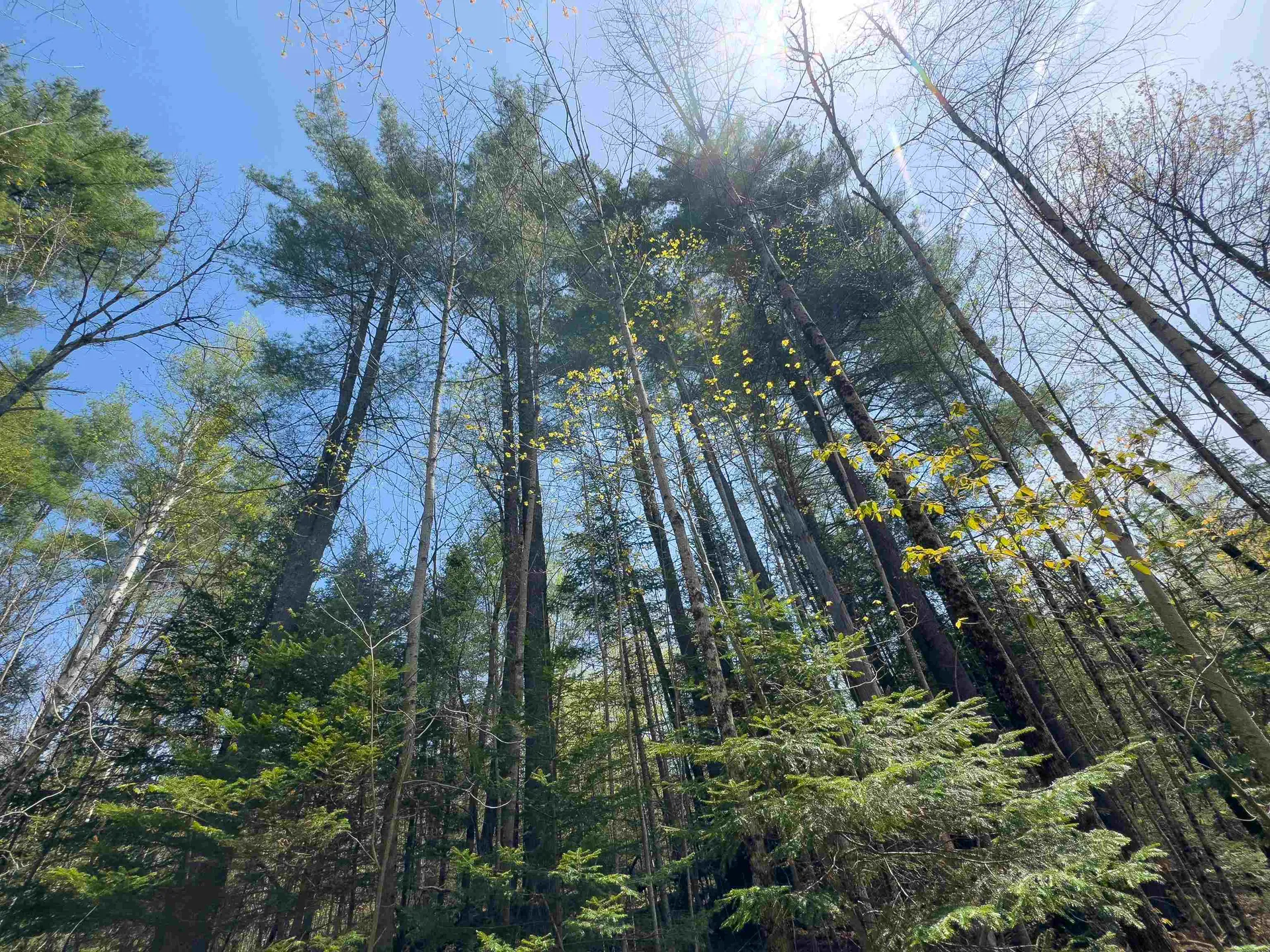 538 Oregon Road Concord VT 05824