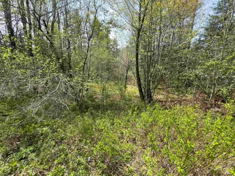 538 Oregon Road Concord VT 05824