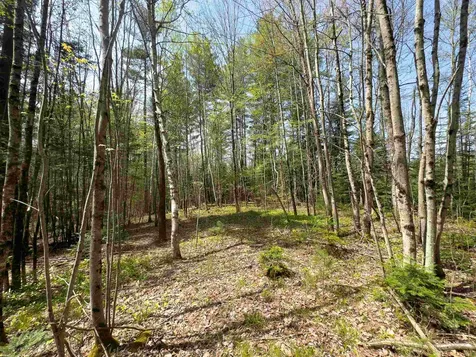 538 Oregon Road Concord VT 05824