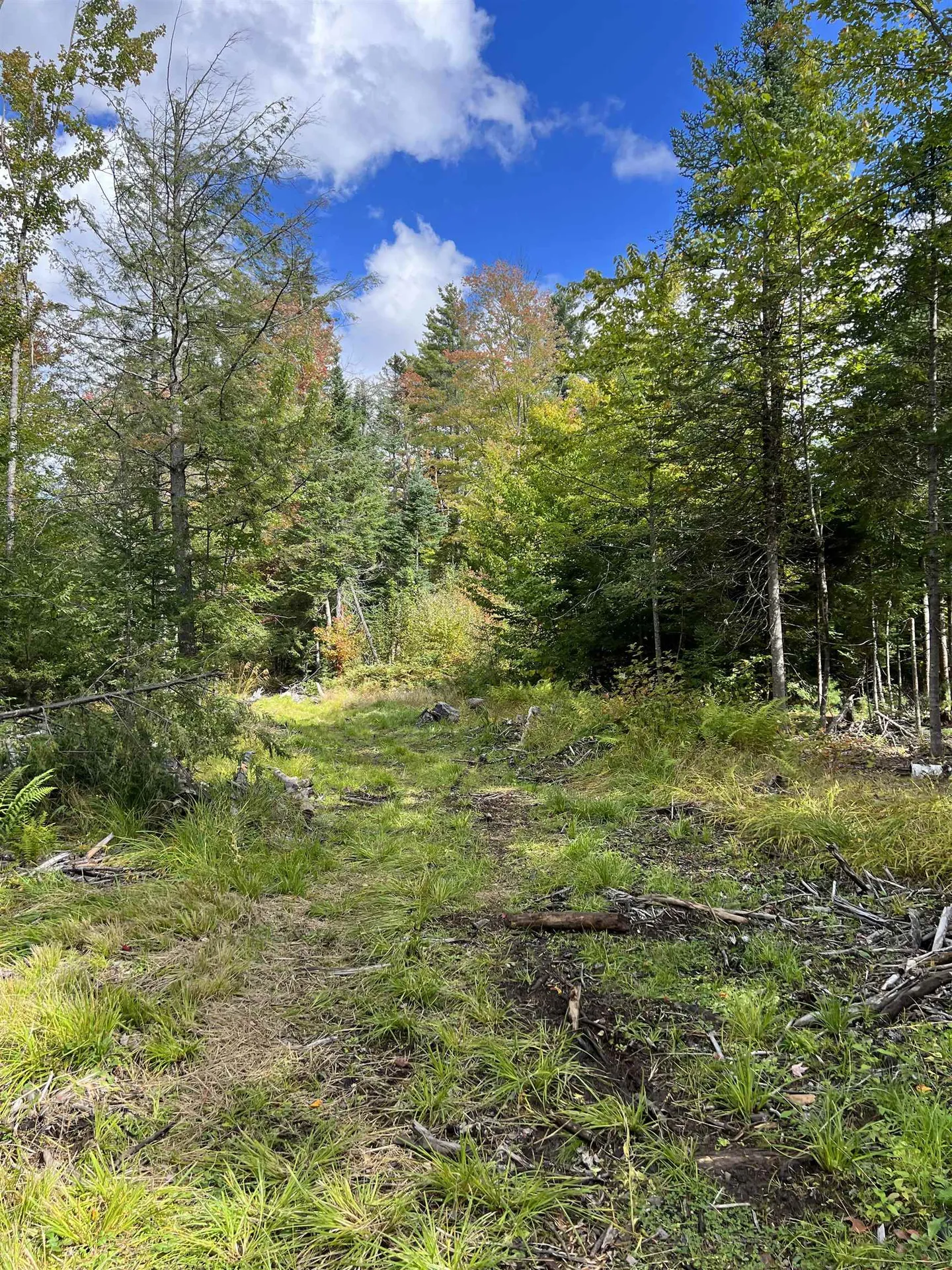 0 Evergreen Drive Dalton NH 03598