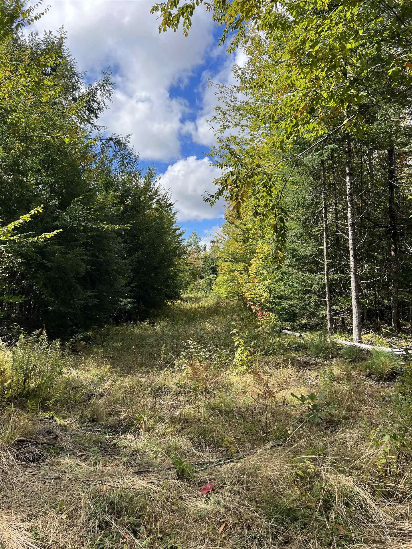 0 Evergreen Drive Dalton NH 03598