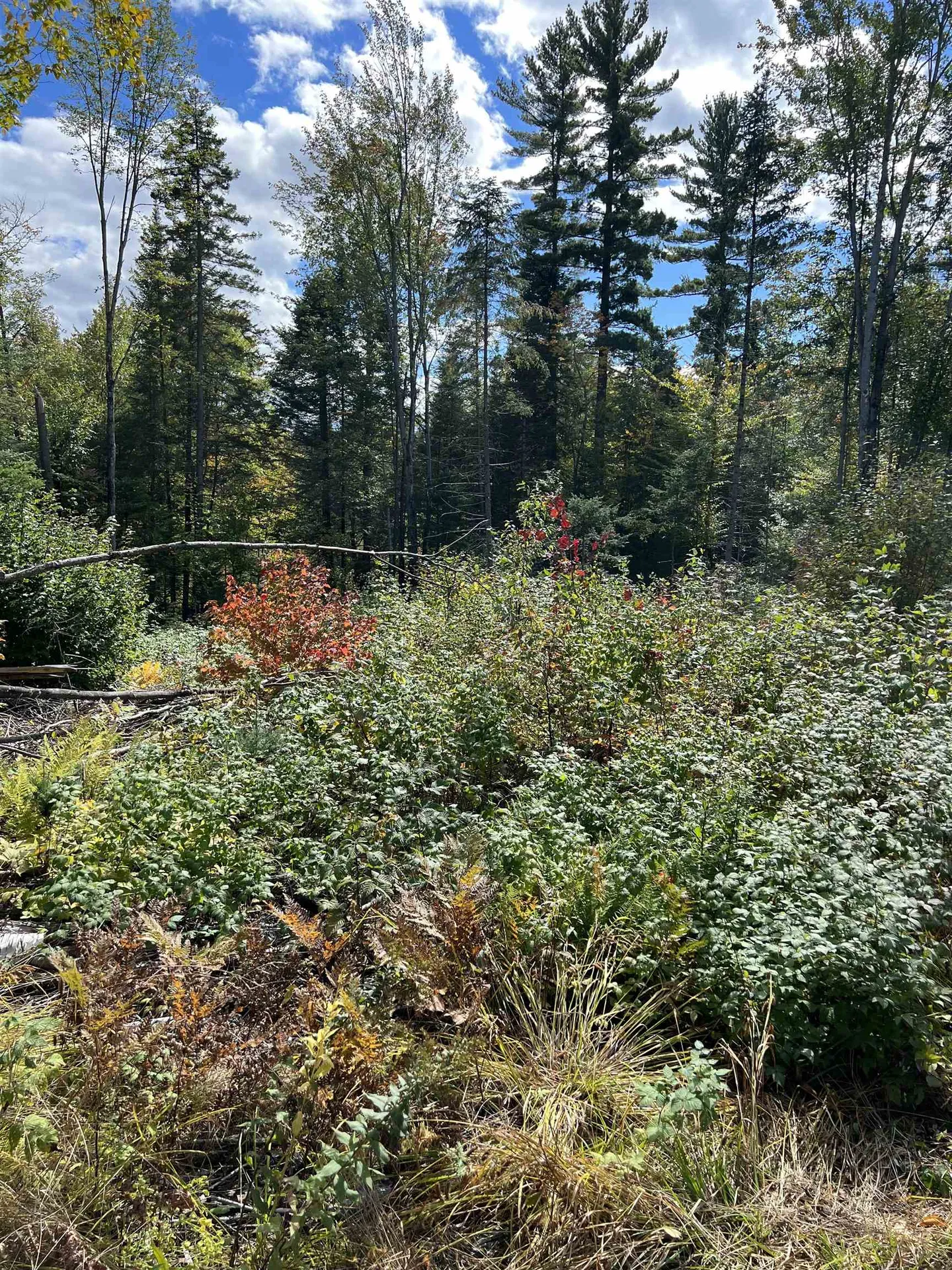 0 Evergreen Drive Dalton NH 03598