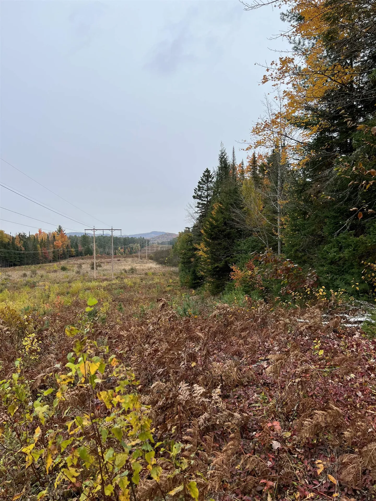 0 Evergreen Drive Dalton NH 03598