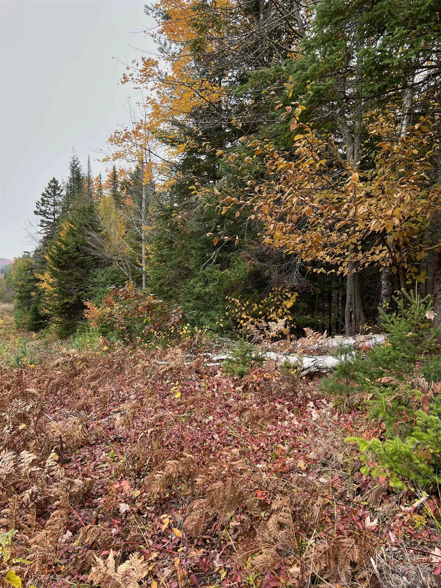 0 Evergreen Drive Dalton NH 03598