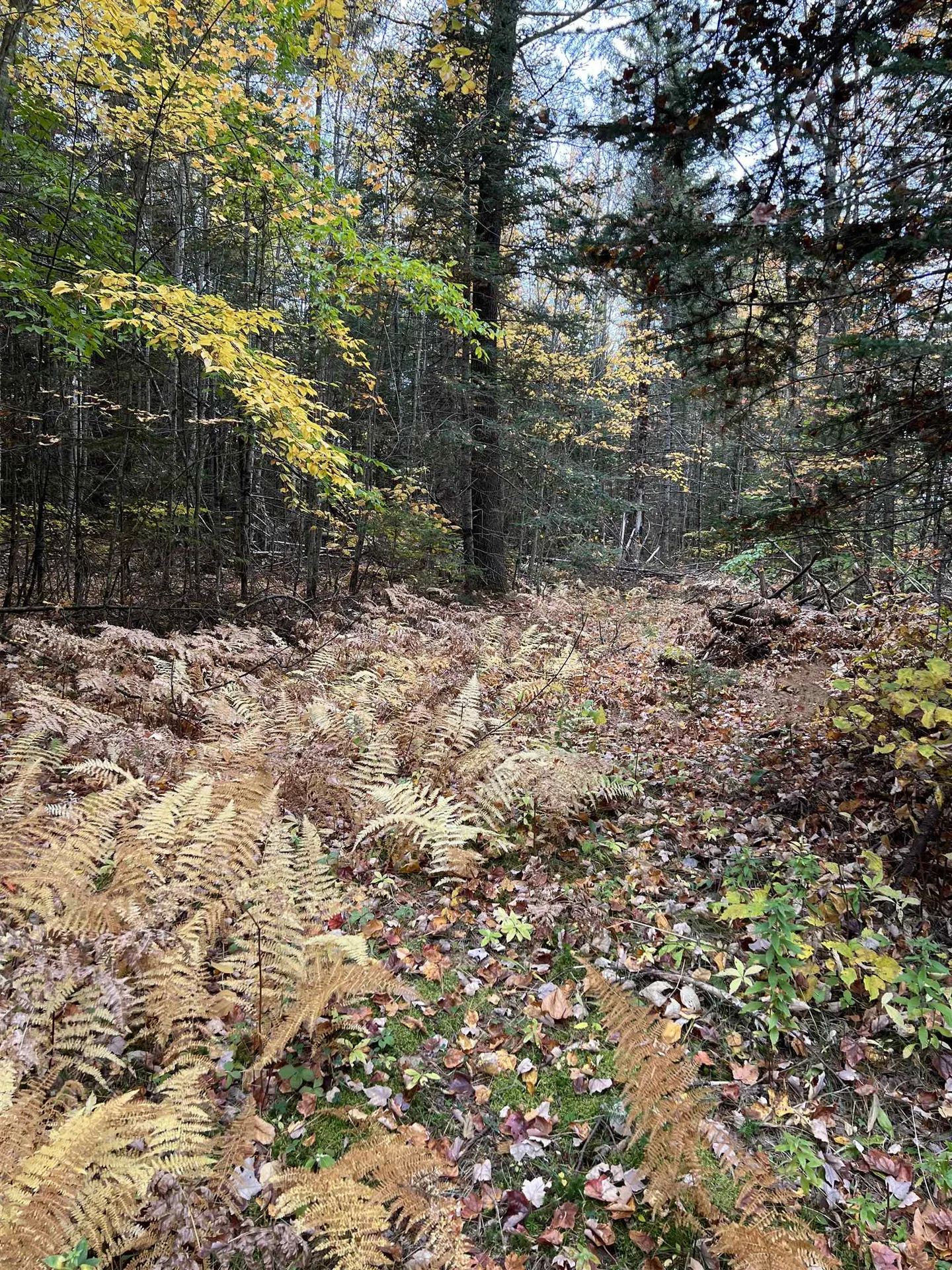 0 Evergreen Drive Dalton NH 03598