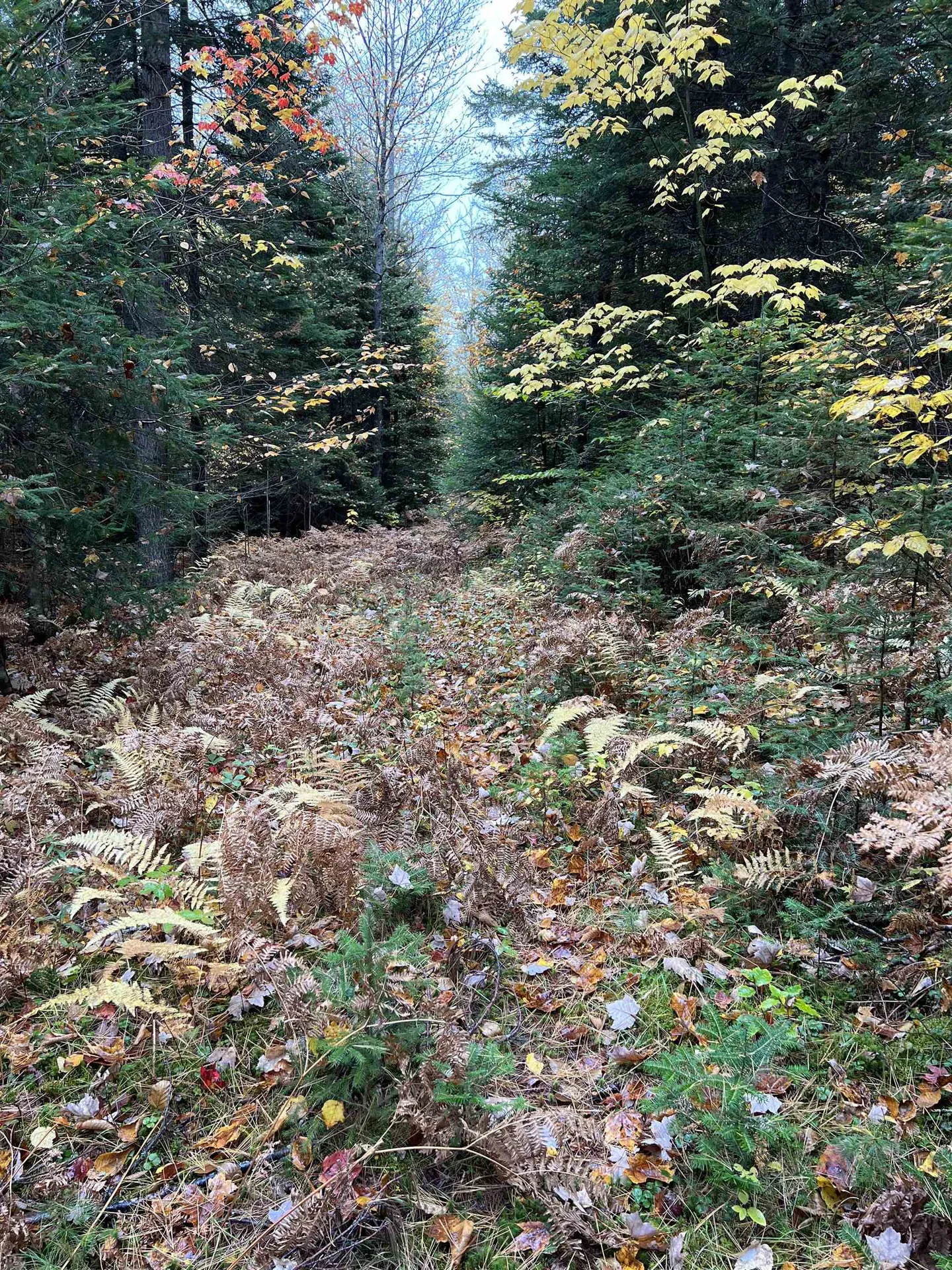 0 Evergreen Drive Dalton NH 03598