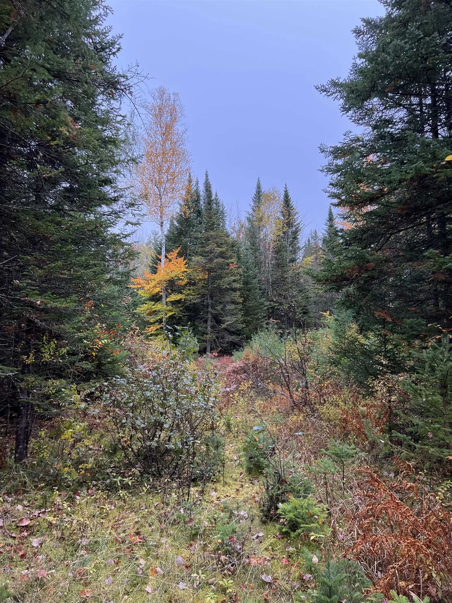 0 Evergreen Drive Dalton NH 03598