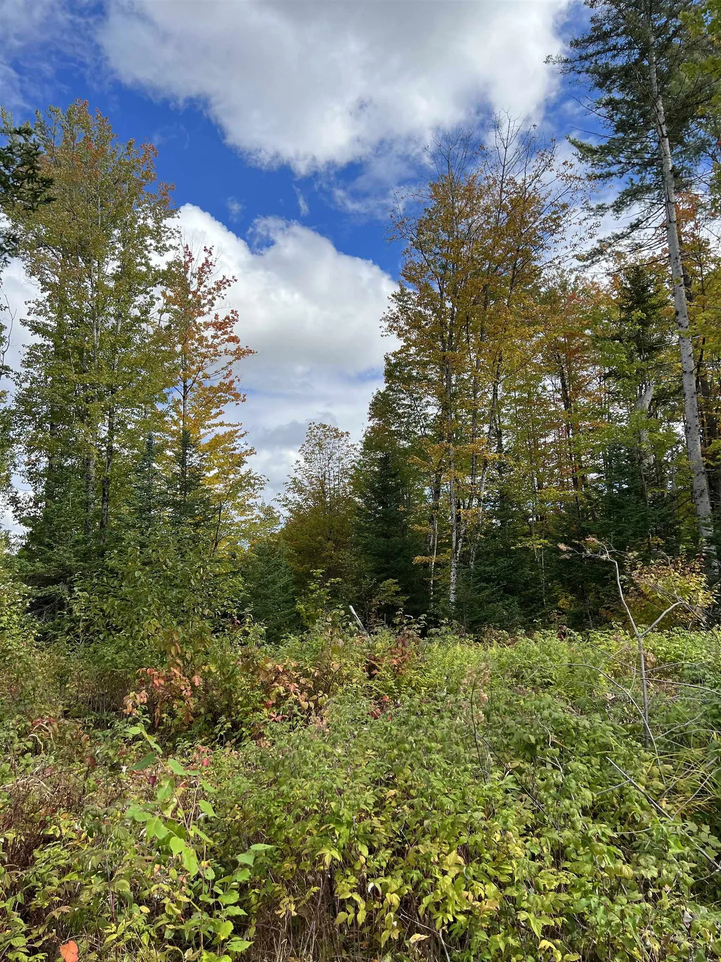 0 Evergreen Drive Dalton NH 03598