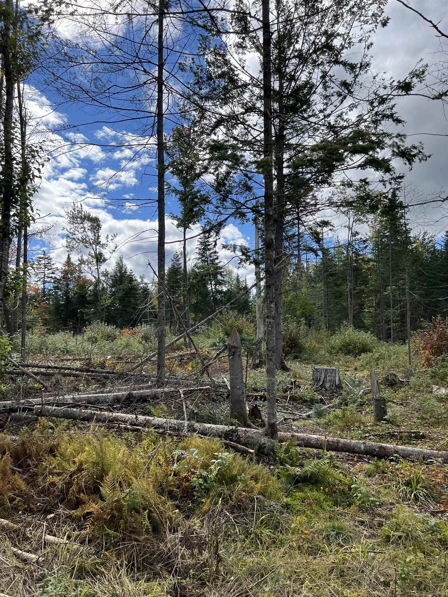 0 Evergreen Drive Dalton NH 03598