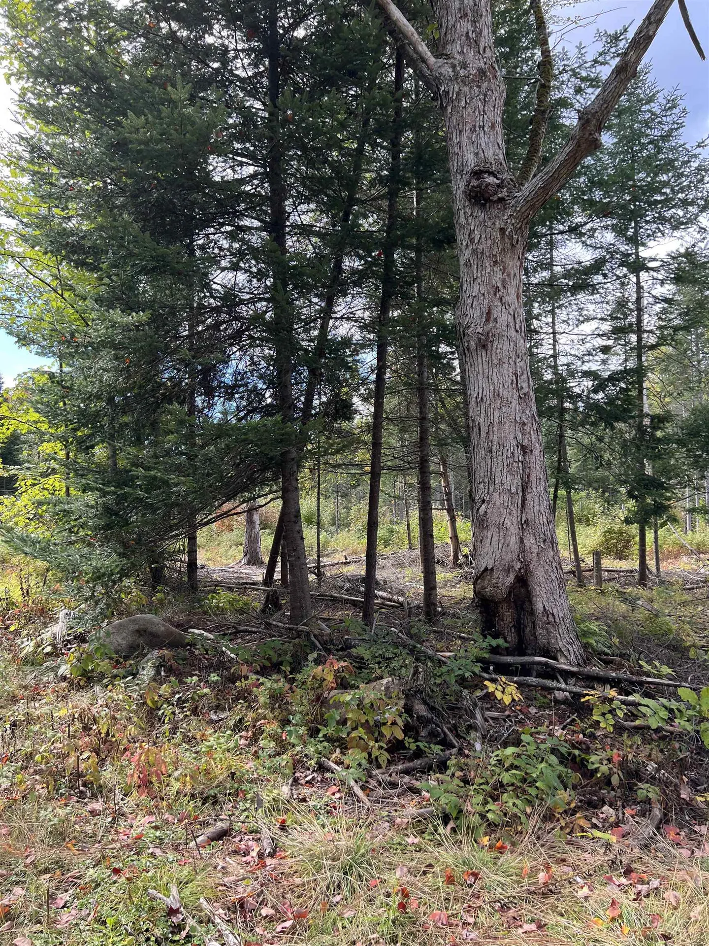 0 Evergreen Drive Dalton NH 03598