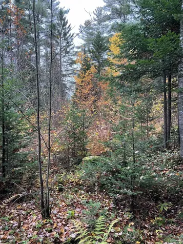 0 Evergreen Drive Dalton NH 03598