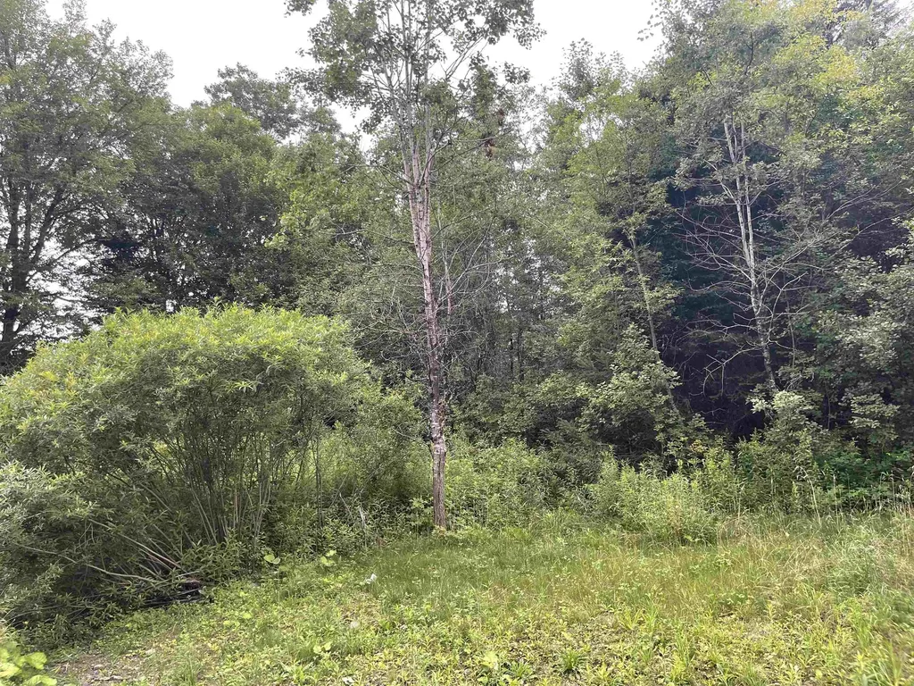 00 Prospect Street Concord VT 05824