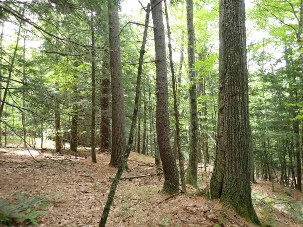 68 Norris Road Orford NH 03777