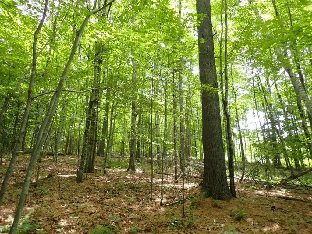 68 Norris Road Orford NH 03777