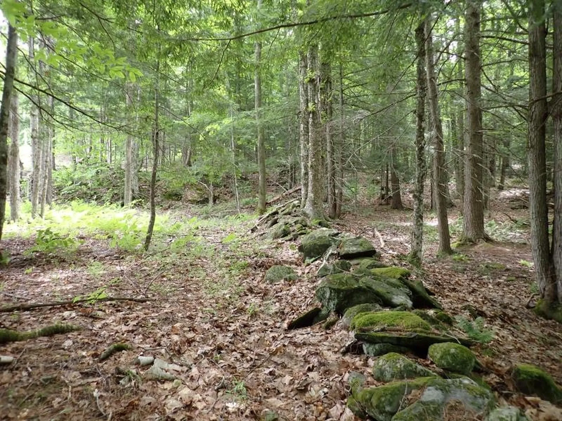 68 Norris Road Orford NH 03777