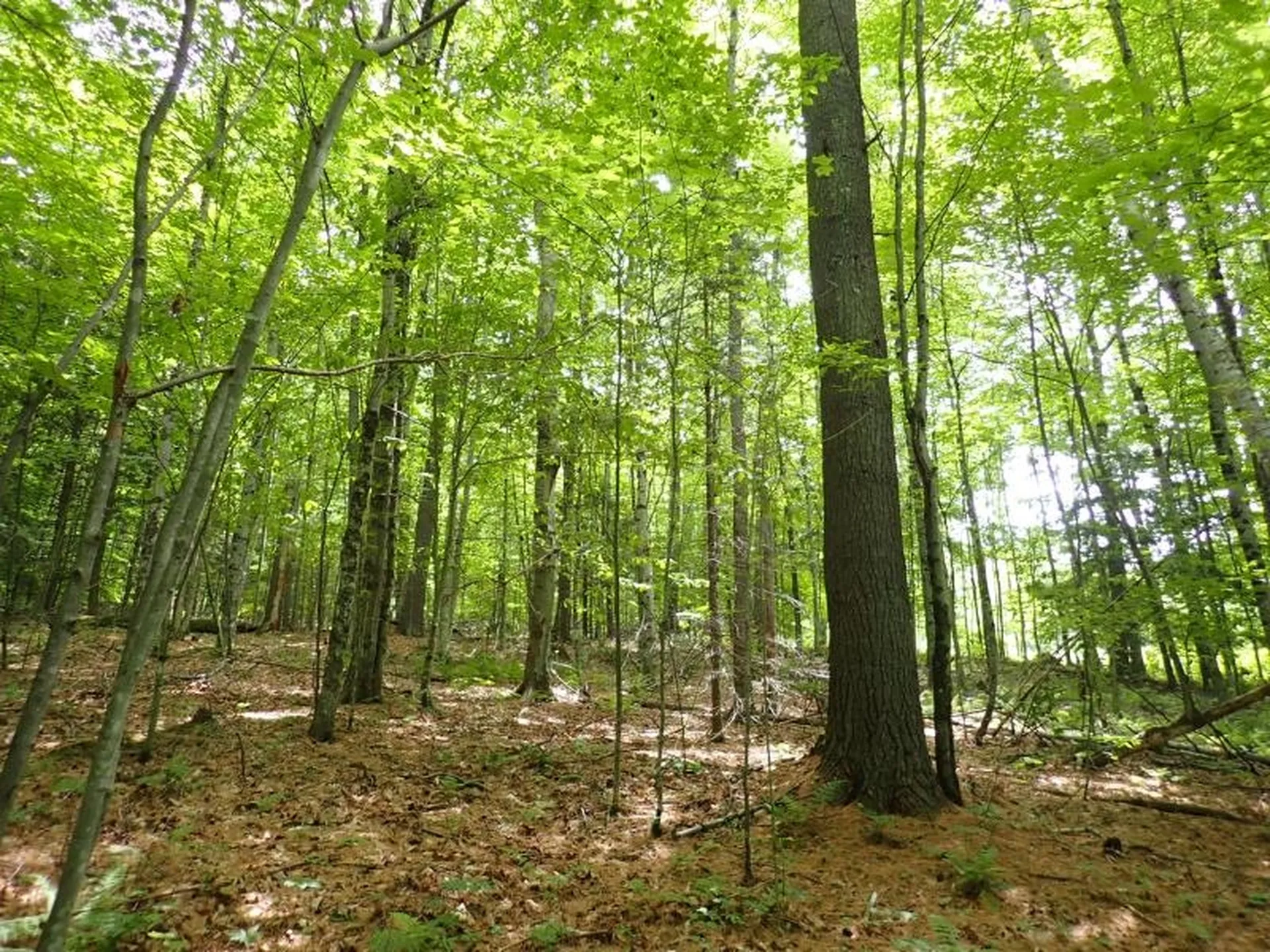 68 Norris Road Orford NH 03777