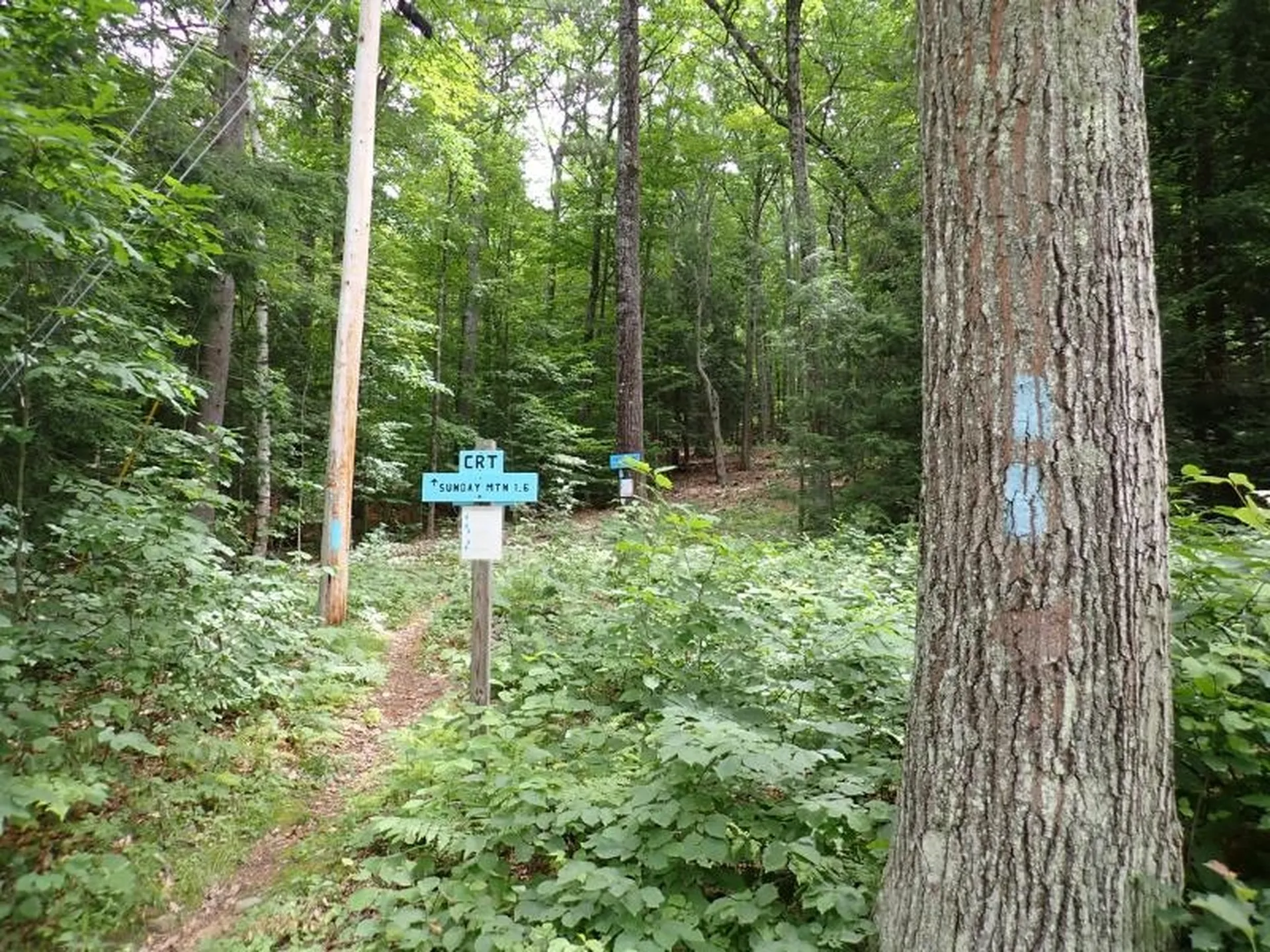 68 Norris Road Orford NH 03777