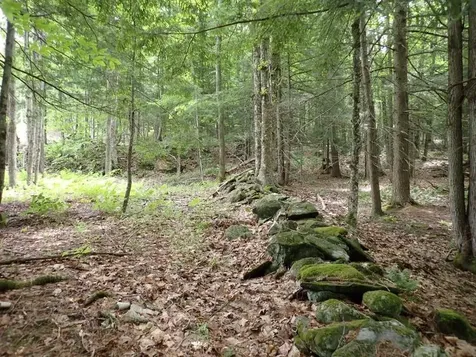 68 Norris Road Orford NH 03777