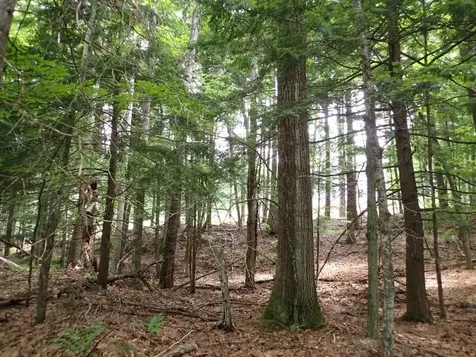 68 Norris Road Orford NH 03777