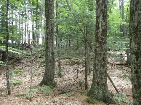 68 Norris Road Orford NH 03777