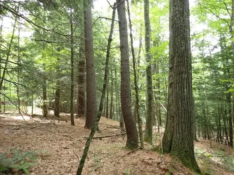 68 Norris Road Orford NH 03777