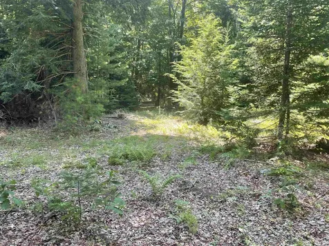 00 County Road Haverhill NH 03774