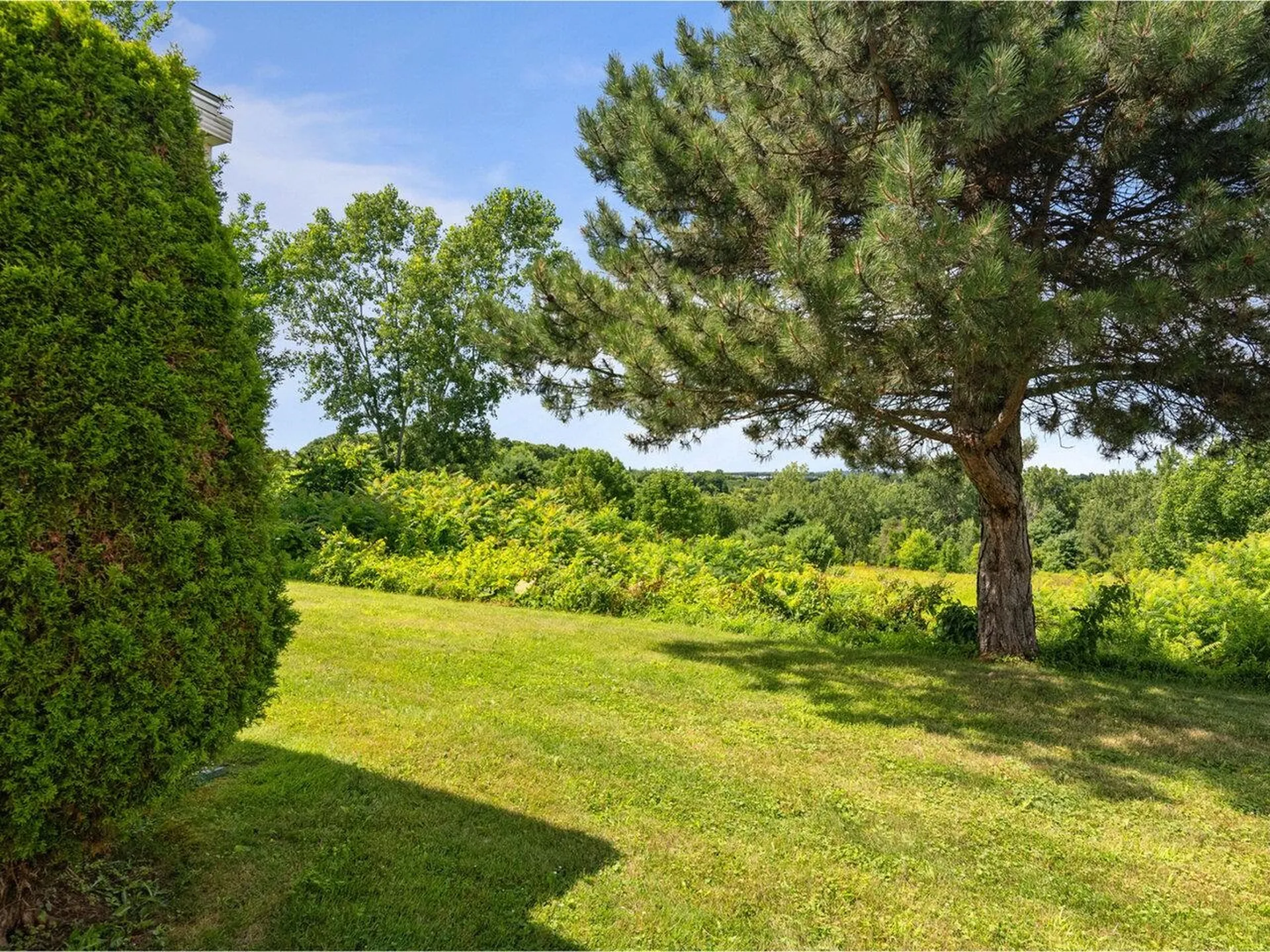 252 Commons Road Williston VT 05495