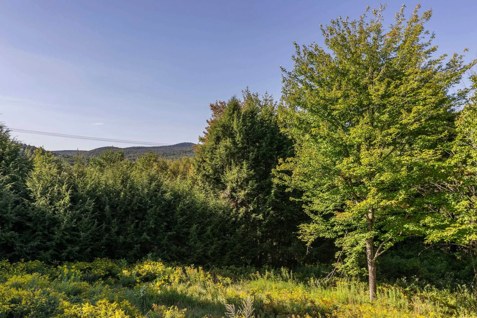 134 Chester Arthur Road Hartford VT 05059