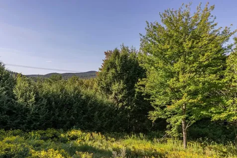 134 Chester Arthur Road Hartford VT 05059