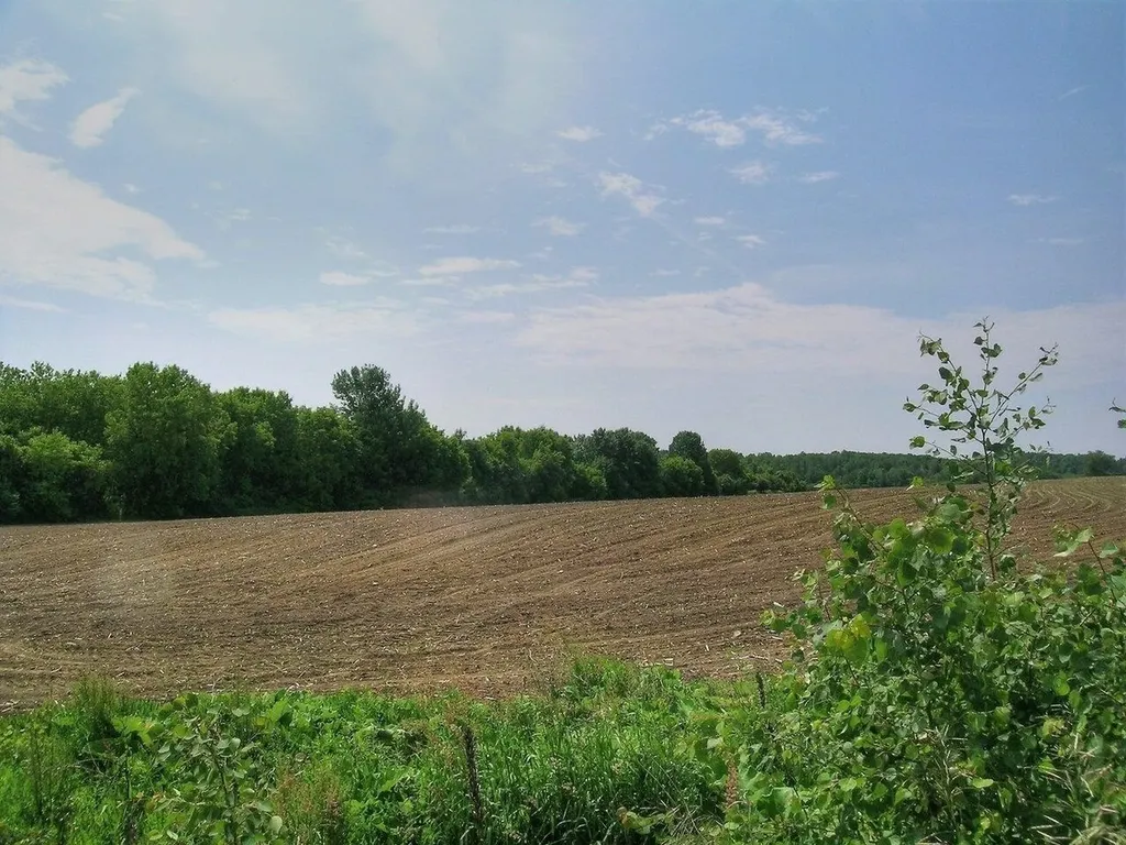 0 South Bingham Street Cornwall VT 05753