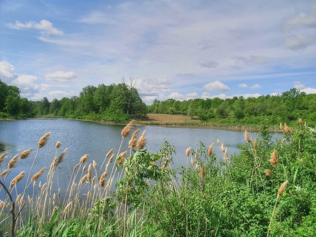 0 South Bingham Street Cornwall VT 05753