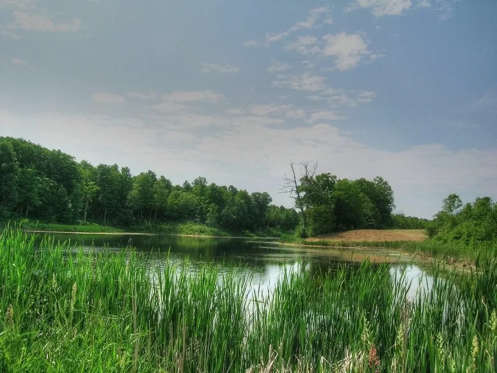 0 South Bingham Street Cornwall VT 05753